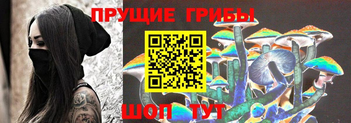 Псилоцибиновые грибы Psilocybe Сызрань